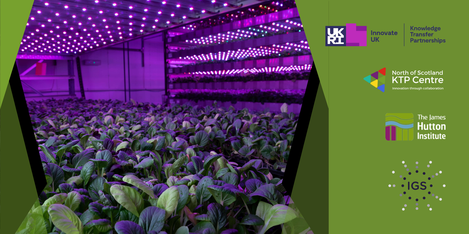 IGS vertical farming technology